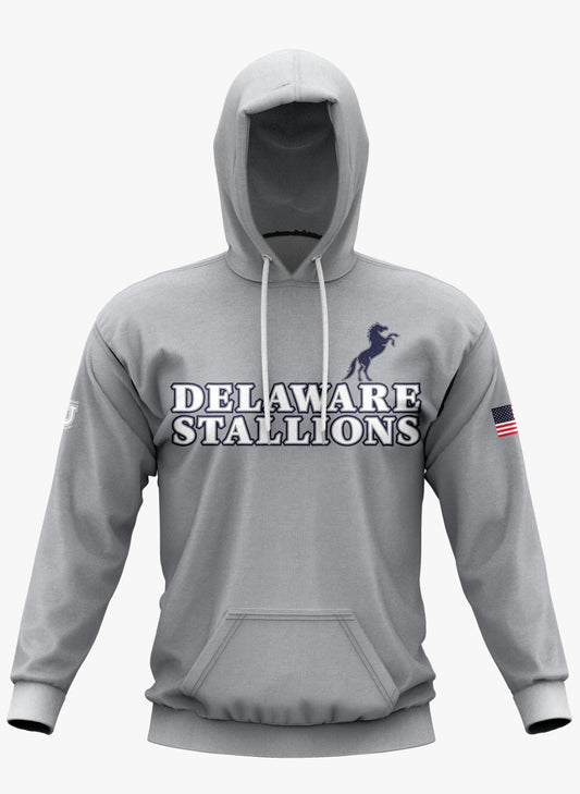 DE Stallions Performance Hoodie ~ Stallion on Left Chest *Grey*