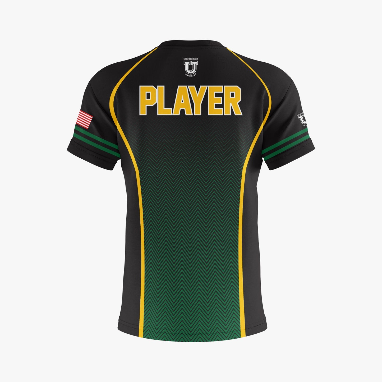 QA Dri Tech T-Shirt - "QA Lions"