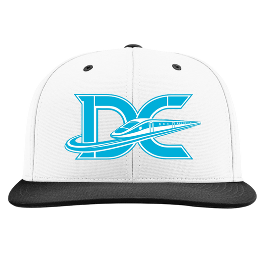 Delaware Express Embroidered Hat ~ PTS20 FlexFit // 112 Snapback "DE" White/Black CMB