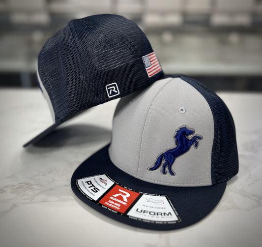 Delaware Stallions Left Pannel Embroidered Hat ~ Grey/Navy