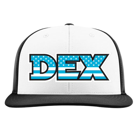 Delaware Express Embroidered Hat ~ PTS20 FlexFit // 112 Snapback "DEX" White/Black ALT