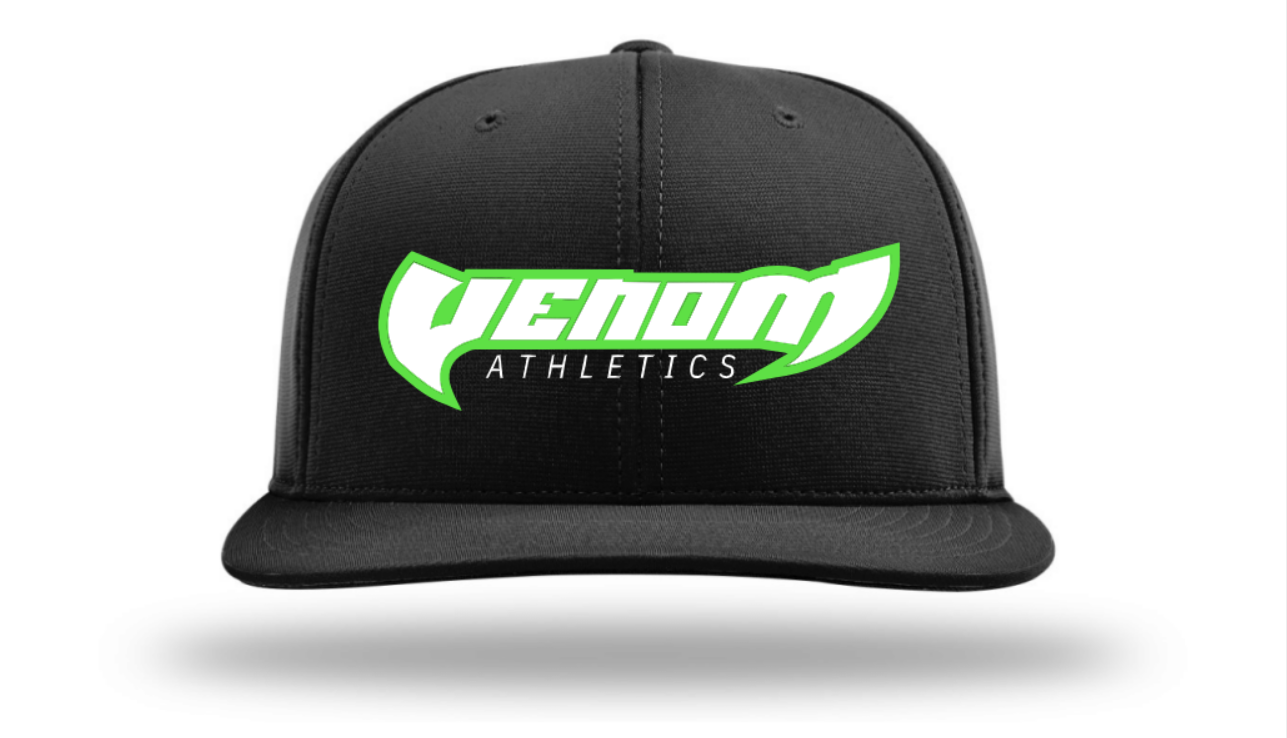 Venom Embroidered Hat ~ Black