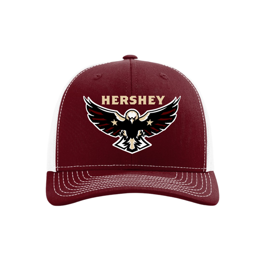 Hershey Eagles Ice Hockey Embroidered Hat ~ Snapback 112 {Variety}
