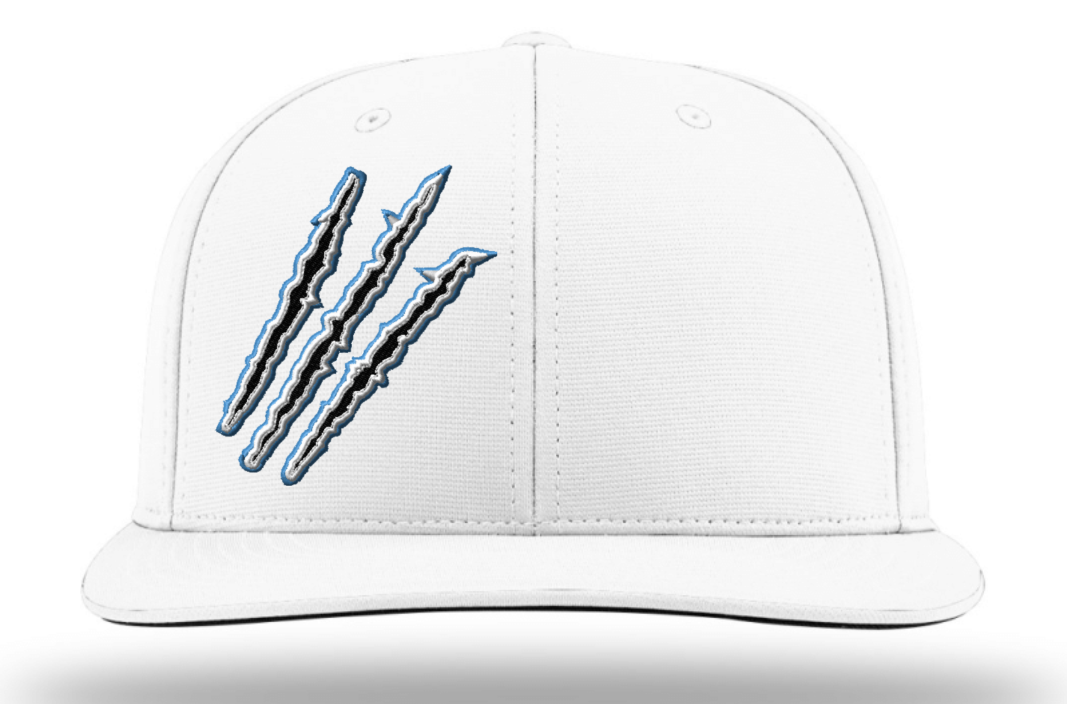 Raptor's Claws Embroidered Hat ~ 2 Color Options