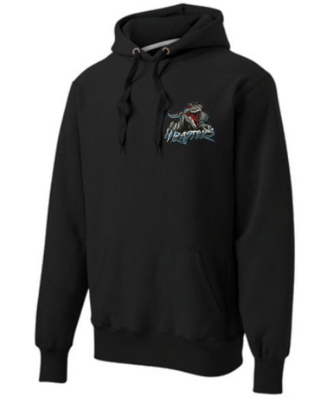 Raptors Super Heavyweight Comfort Hoodie ~ Adult