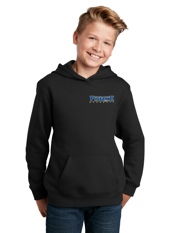 Eastern Shore Force Heavyweight Comfort Hoodie ~ Youth {Embroidered}