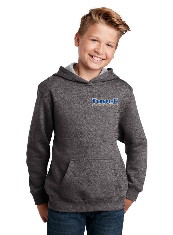 Eastern Shore Force Heavyweight Comfort Hoodie ~ Youth {Embroidered}