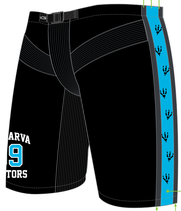 Delmarva Raptors Official Game Shells
