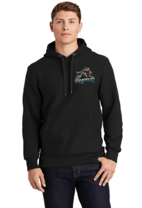 Raptors Super Heavyweight Comfort Hoodie ~ Adult