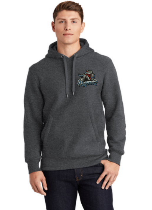 Raptors Super Heavyweight Comfort Hoodie ~ Adult