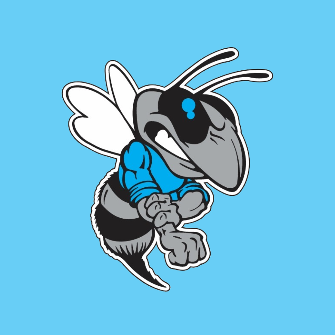 Hickory Lady Hornets