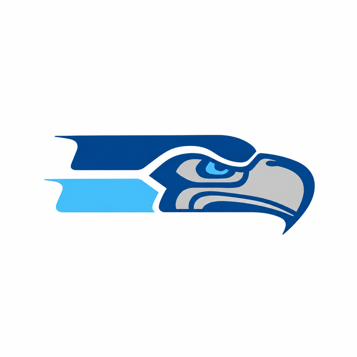 South River Seahawks