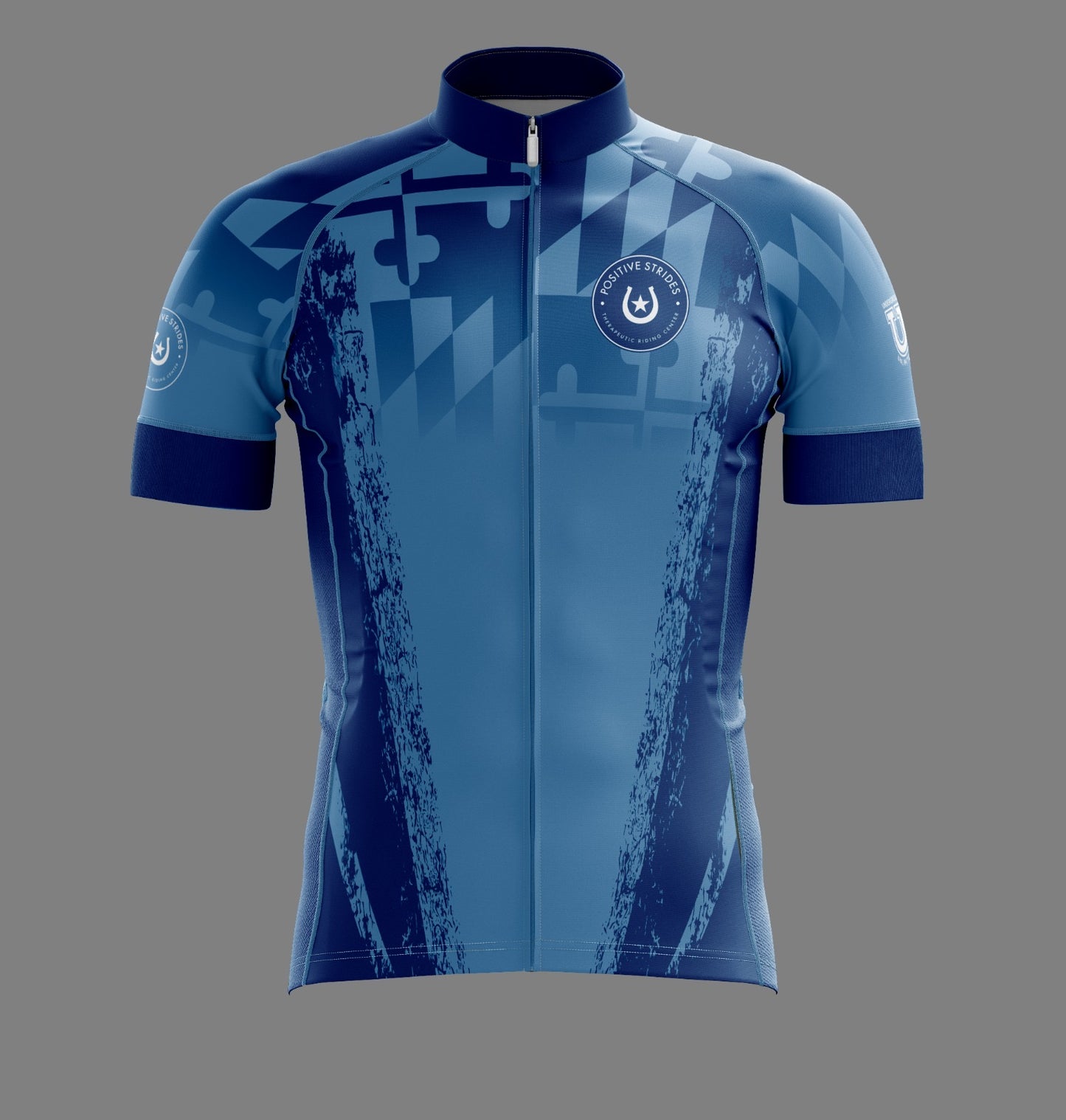 Positive Strides "Spring Classic" Performance Cycling Jersey ~ Columbia Maryland Fade