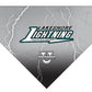 Lakeshore Dri Tech Custom Pet Bandanas {3 Design Options}