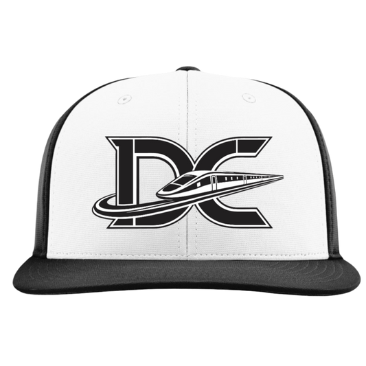 Delaware Express Embroidered Hat ~ PTS20 FlexFit // 112 Snapback "DE" White/Black ALT