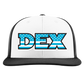 Delaware Express Embroidered Hat ~ PTS20 FlexFit // 112 Snapback "DEX" White/Black ALT