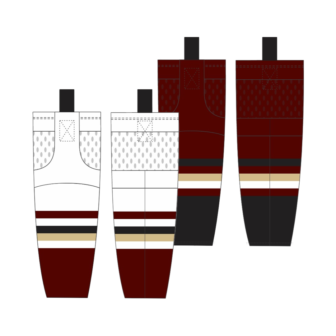 Hershey Eagles Ice Hockey ~ Official 2026-2027 Player Socks ONLY Bundle