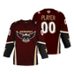 Hershey Eagles Ice Hockey ~ Official 2026-2027 Player Single Game Day Jersey // Fanwear Jersey {2 Options}
