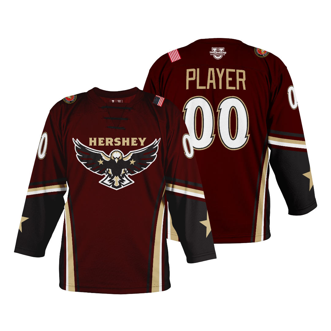 Hershey Eagles Ice Hockey ~ Official 2026-2027 Player Single Game Day Jersey // Fanwear Jersey {2 Options}