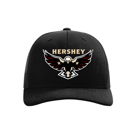 Hershey Eagles Ice Hockey Embroidered Hat ~ Snapback 112 {Variety}