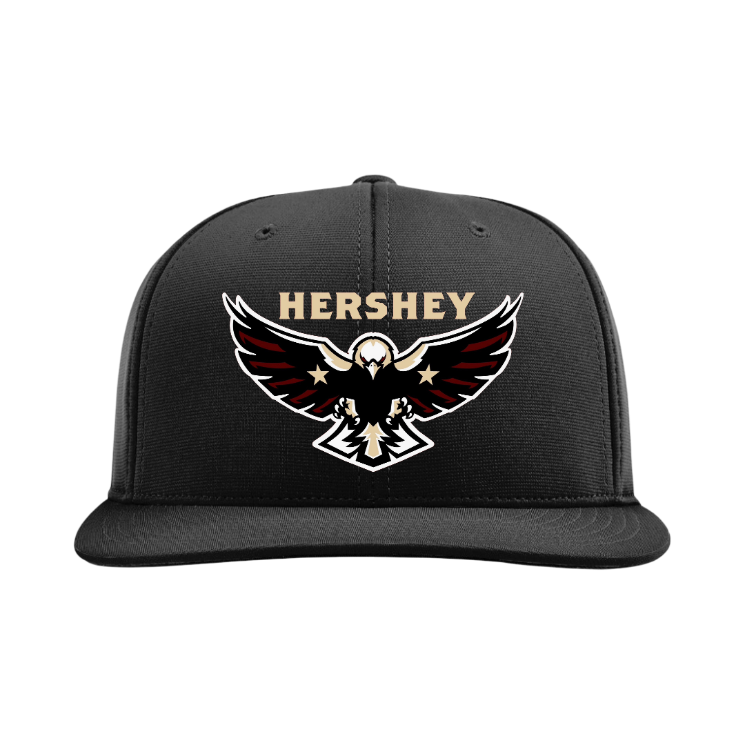 Hershey Eagles Ice Hockey Embroidered Hat ~ FlexFit PTS20 {Variety}