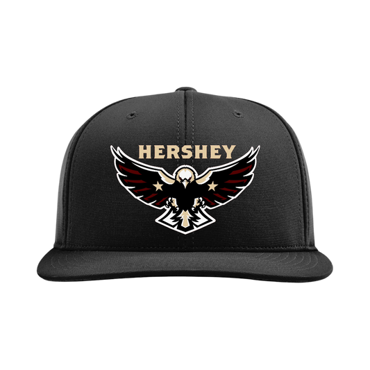 Hershey Eagles Ice Hockey Embroidered Hat ~ FlexFit PTS20 {Variety}