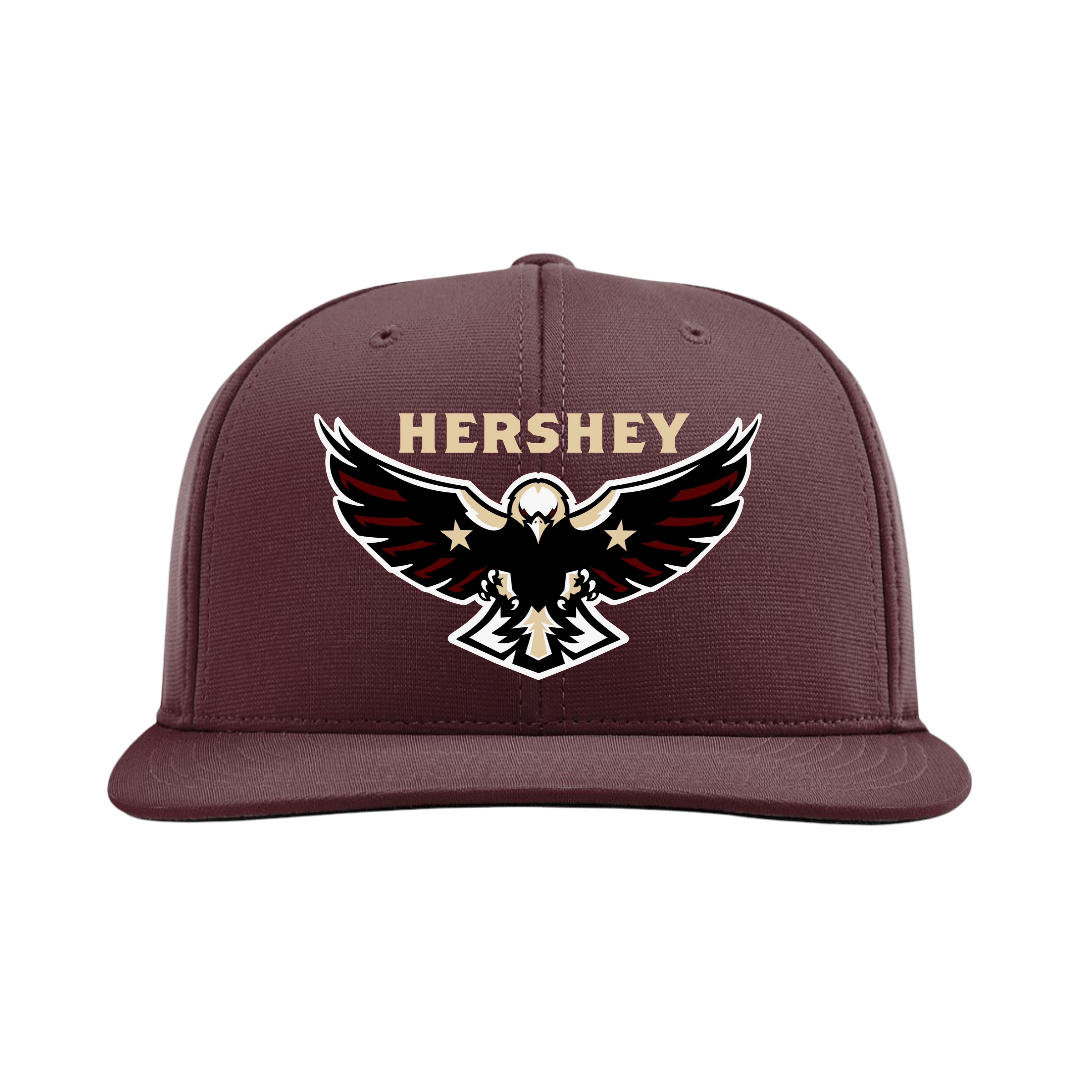 Hershey Eagles Ice Hockey Embroidered Hat ~ FlexFit PTS20 {Variety}