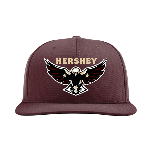 Hershey Eagles Ice Hockey Embroidered Hat ~ FlexFit PTS20 {Variety}