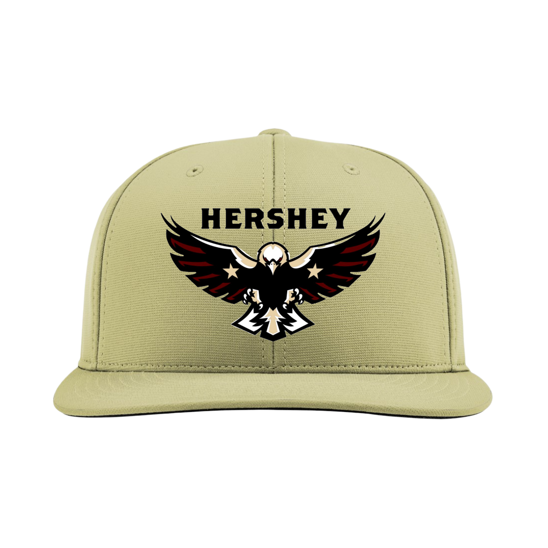 Hershey Eagles Ice Hockey Embroidered Hat ~ FlexFit PTS20 {Variety}