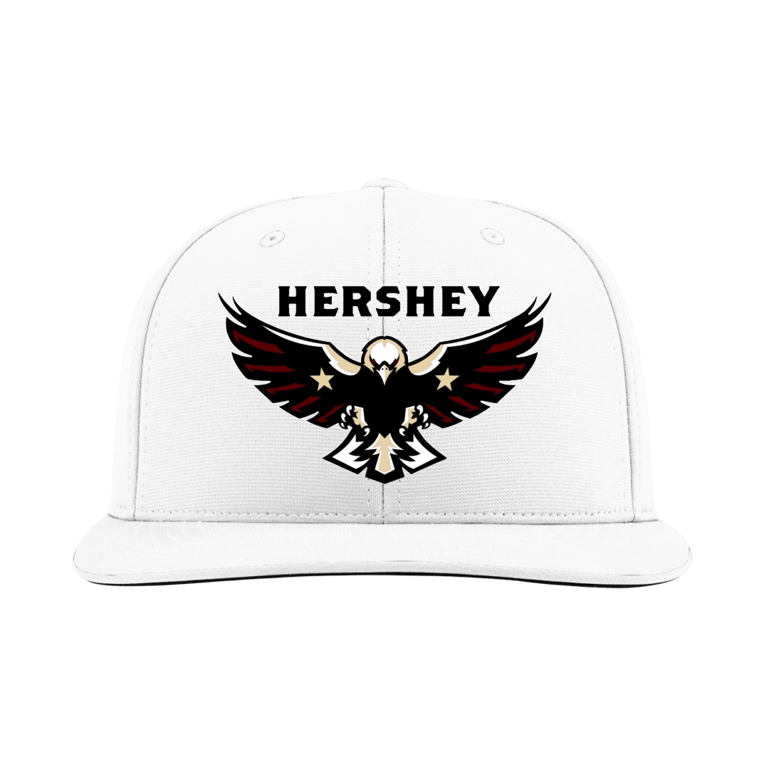 Hershey Eagles Ice Hockey Embroidered Hat ~ FlexFit PTS20 {Variety}