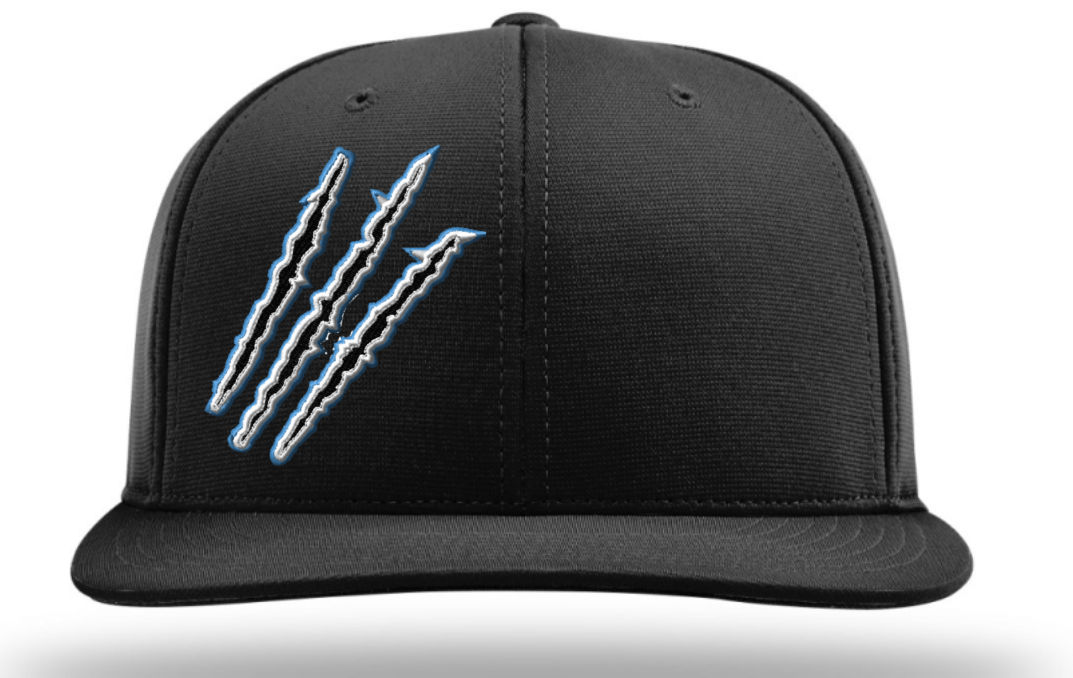 Raptor's Claws Embroidered Hat ~ 2 Color Options