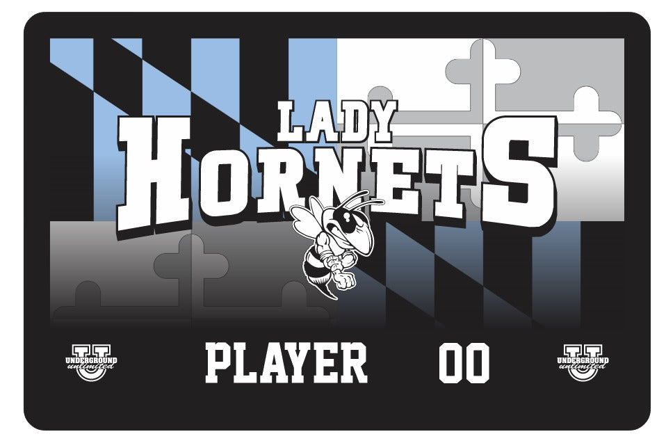 Hickory Hornets Sherpa Lined Blanket ~ Maryland Ombre {Multi Options}