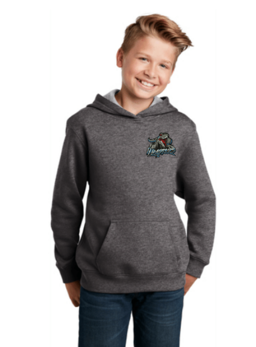 Raptors Heavyweight Comfort Hoodie ~ Youth