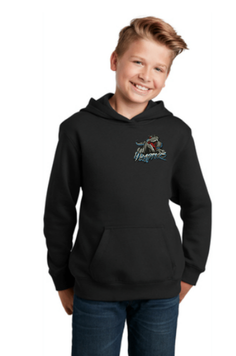 Raptors Heavyweight Comfort Hoodie ~ Youth