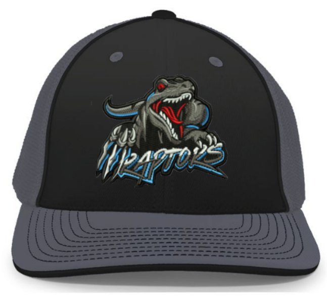 Raptor's Logo Embroidered Patch Hat ~ Black/Graphite