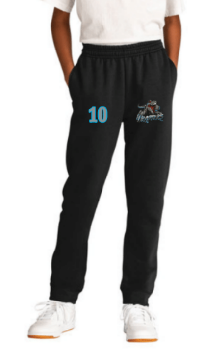 Raptors Youth Youth Tricot Jogger